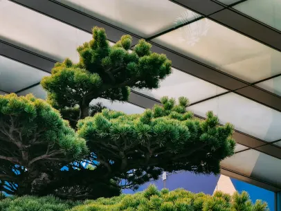 ArcaneBet Casino Mobiele App